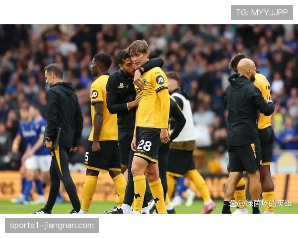 狼队防线人员轮换吃紧 多尔蒂伤情反复出战成疑需谨慎评估